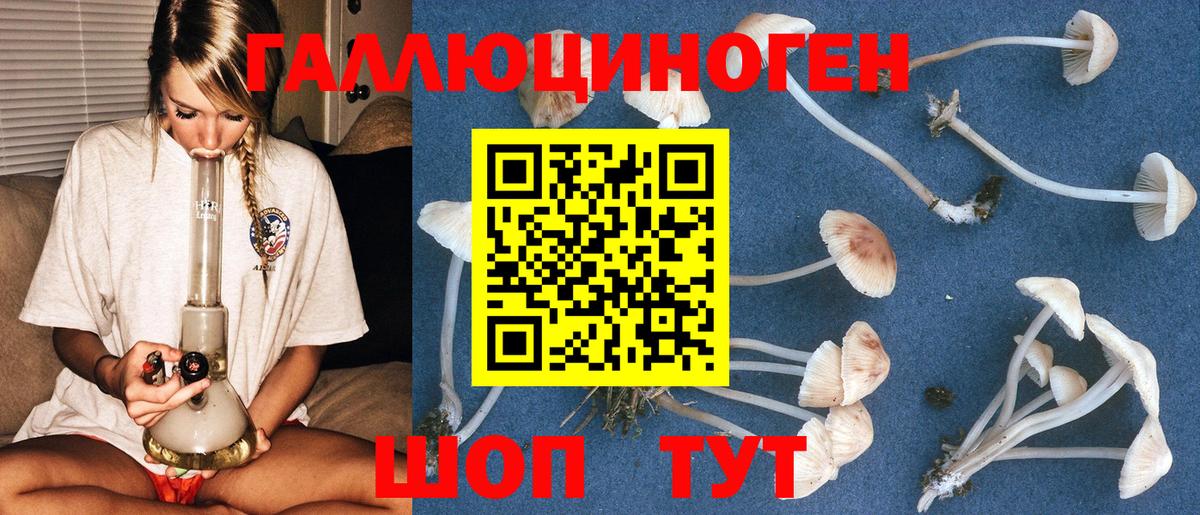 Псилоцибиновые грибы мицелий Нижневартовск