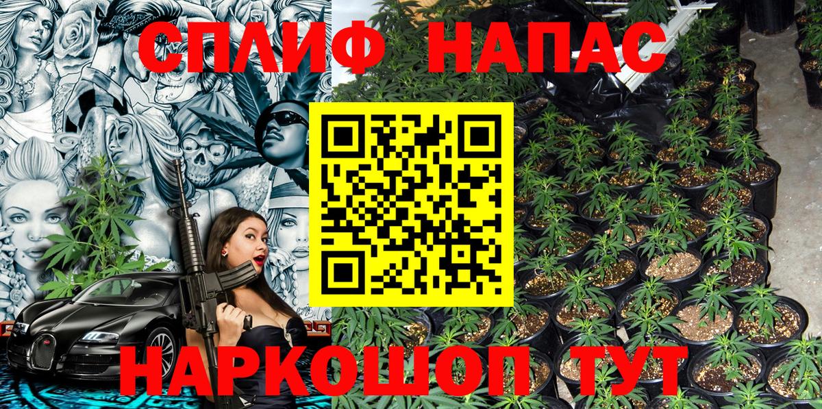 Шишки марихуана планчик  Вход с VPN  Конопля план  Нижневартовск 